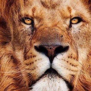 Meet your Posher, Randy